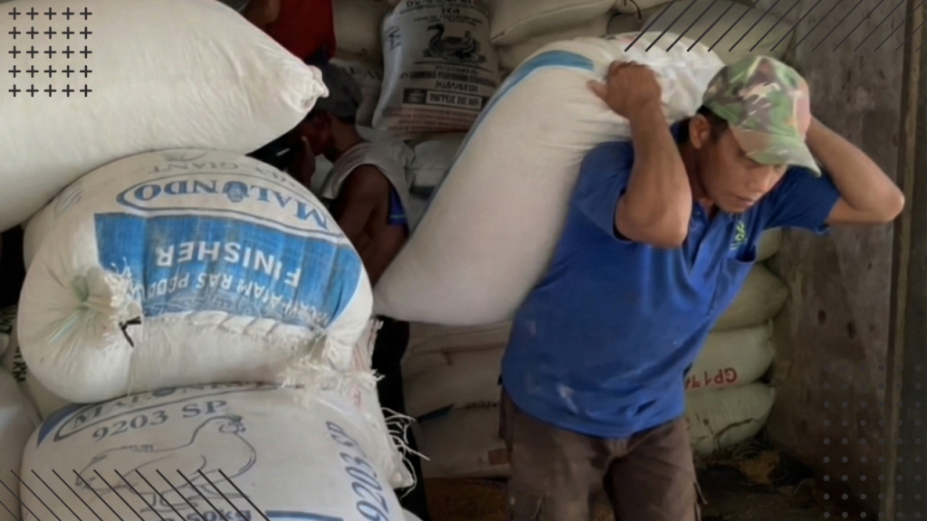 Kenapa Wilis Trenten jadi Pilihan Distributor Beras Terbaik?