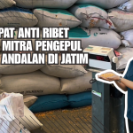 Jual Cepat Anti Ribet dengan Mitra Pengepul Jagung Andalan di Jatim