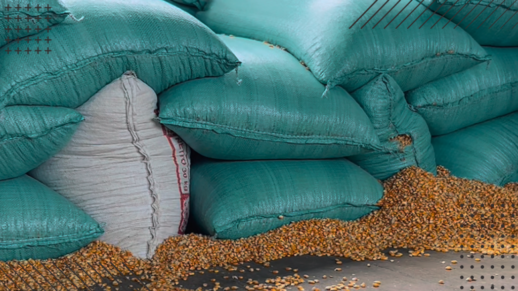 Peran Pengepul Jagung dalam Rantai Pasok Nasional